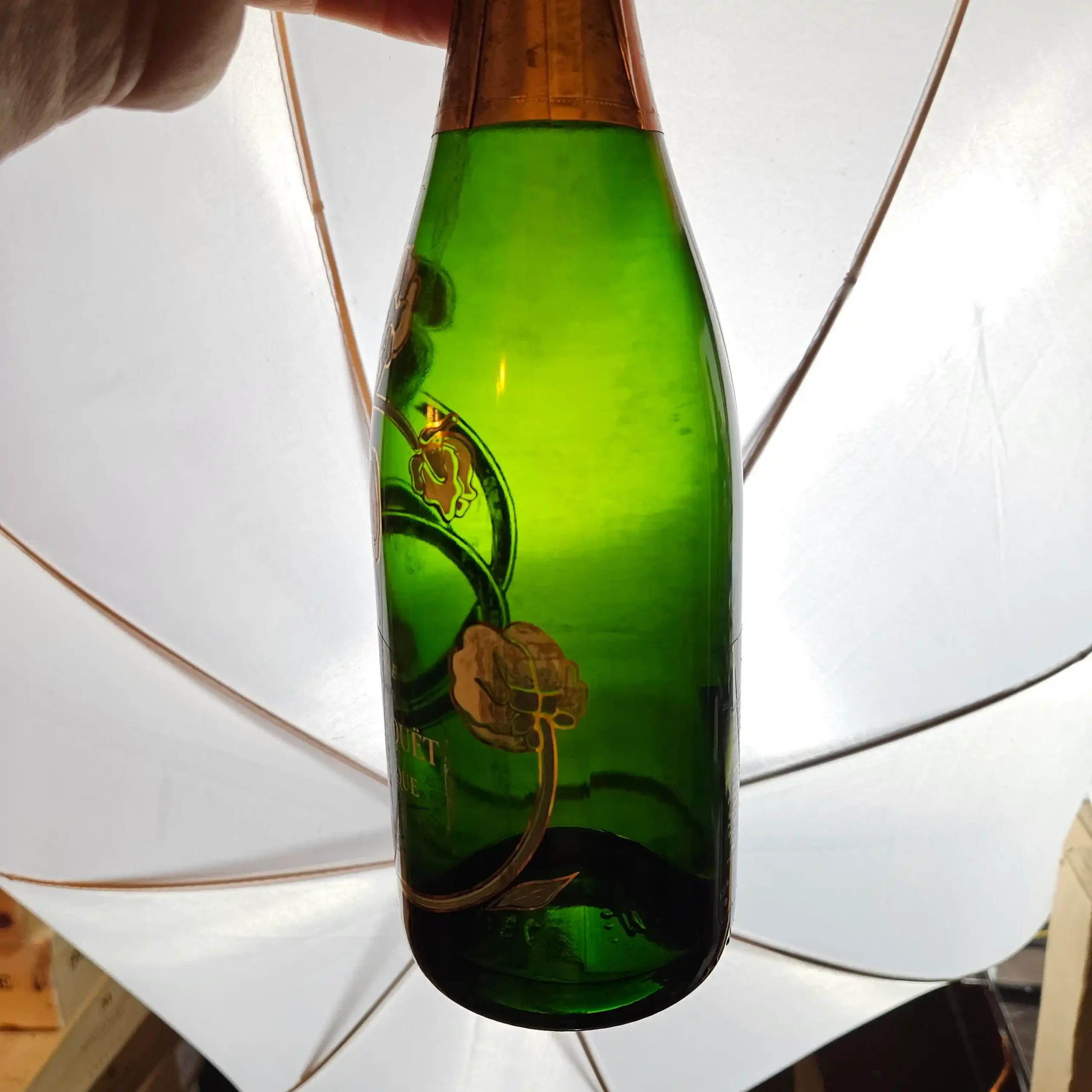 2025-10-24 13.13.37 2025-10-24 13.13.37